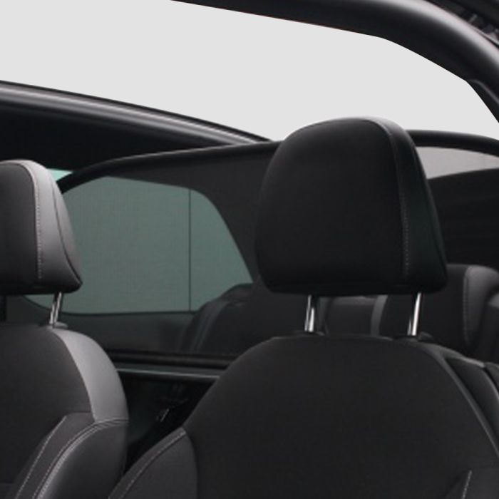 Citroën DS3 Windscherm - 2013-2019