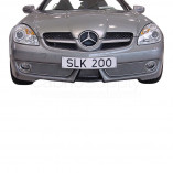 Mercedes-Benz SLK171 RVS Koelgril (3-delig) 2008-2011