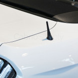 Korte antenne The Stubby Ford Mustang VI